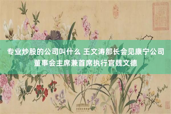 专业炒股的公司叫什么 王文涛部长会见康宁公司董事会主席兼首席执行官魏文德