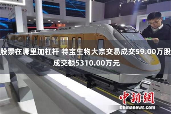 股票在哪里加杠杆 特宝生物大宗交易成交59.00万股 成交额5310.00万元