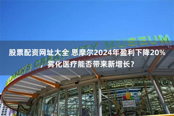 股票配资网址大全 思摩尔2024年盈利下降20%，雾化医疗能否带来新增长？