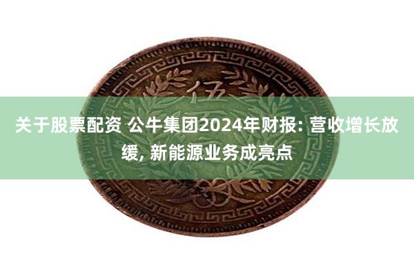 关于股票配资 公牛集团2024年财报: 营收增长放缓, 新能源业务成亮点