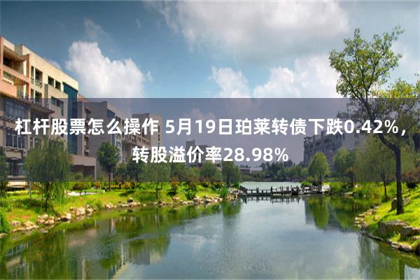 杠杆股票怎么操作 5月19日珀莱转债下跌0.42%，转股溢价率28.98%