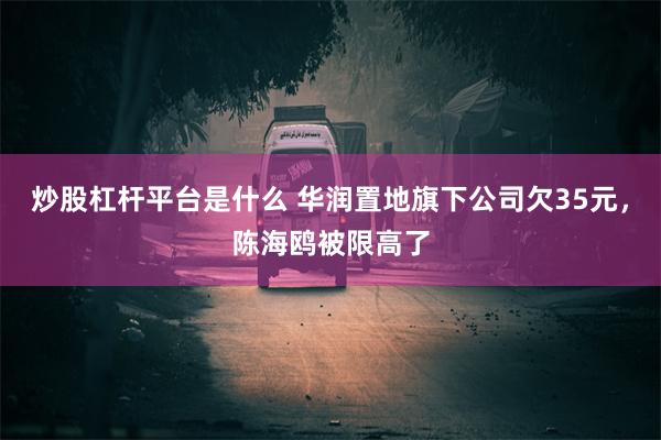 炒股杠杆平台是什么 华润置地旗下公司欠35元，陈海鸥被限高了