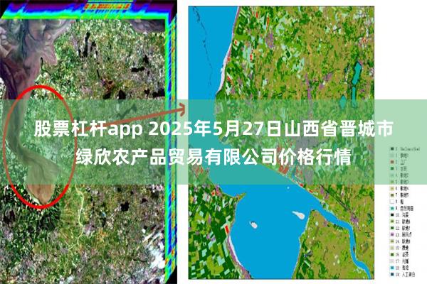 股票杠杆app 2025年5月27日山西省晋城市绿欣农产品贸易有限公司价格行情