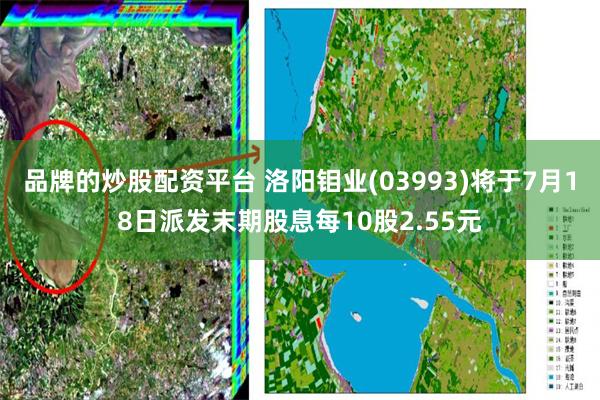 品牌的炒股配资平台 洛阳钼业(03993)将于7月18日派发末期股息每10股2.55元