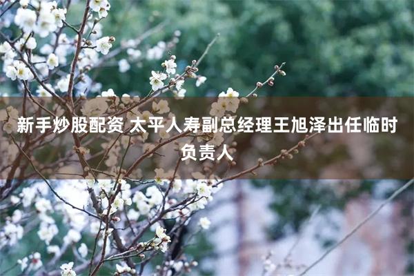 新手炒股配资 太平人寿副总经理王旭泽出任临时负责人
