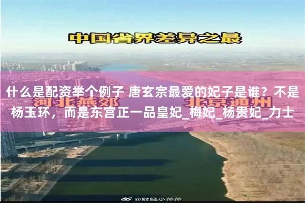 什么是配资举个例子 唐玄宗最爱的妃子是谁？不是杨玉环，而是东宫正一品皇妃_梅妃_杨贵妃_力士